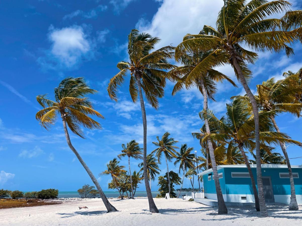 Sobe Apartments マイアミビーチ エクステリア 写真